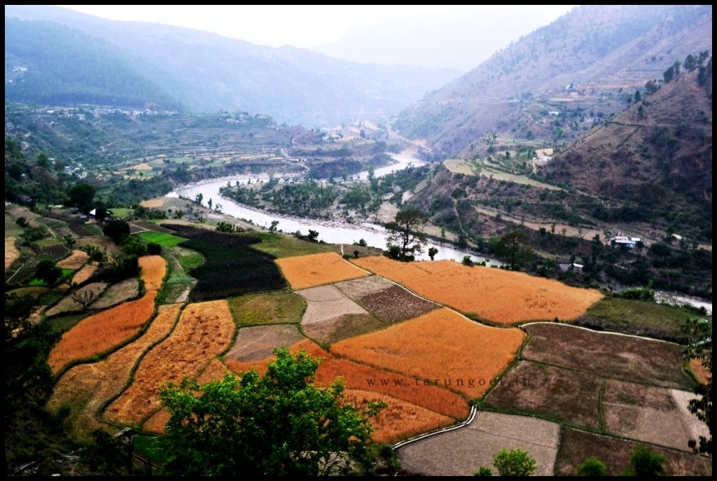 Road to Mahasu Temple, Tiuni