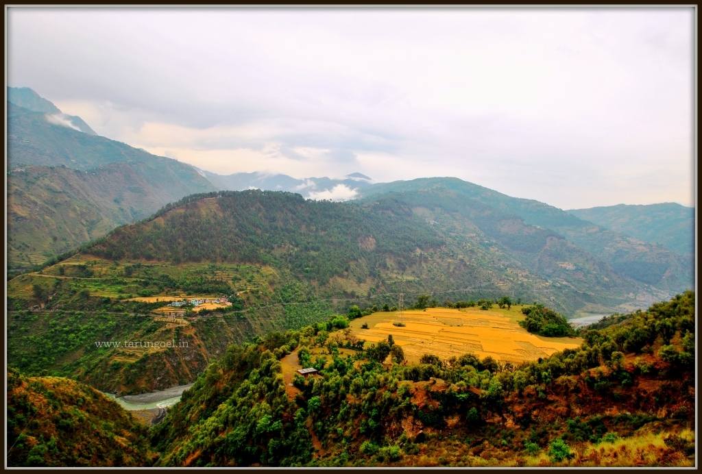 Terraced Farmlands in Chamba Himalayas