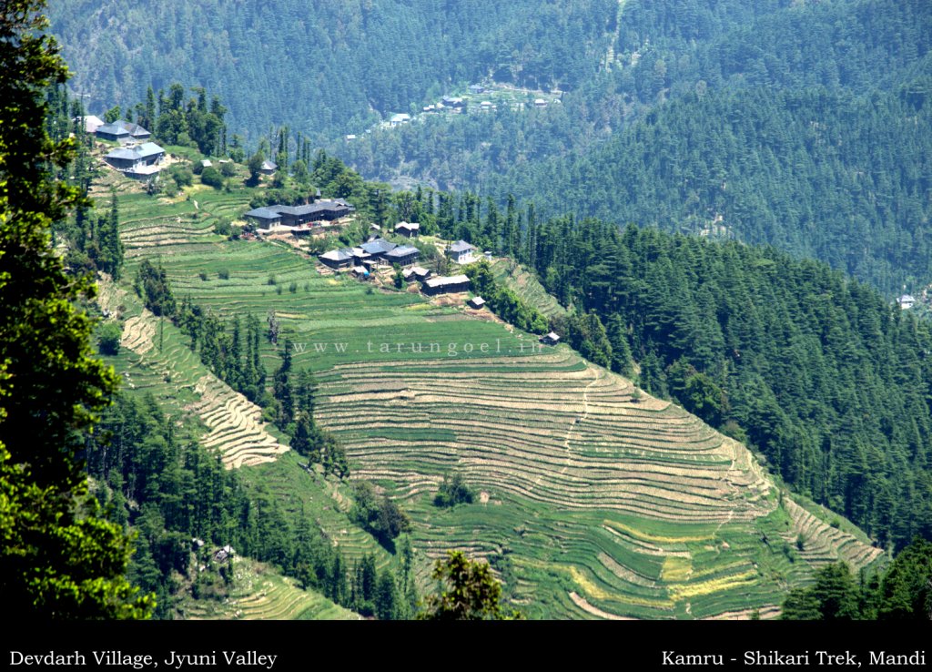 Devdarh Village Jyuni Valley Jahal Janjehli