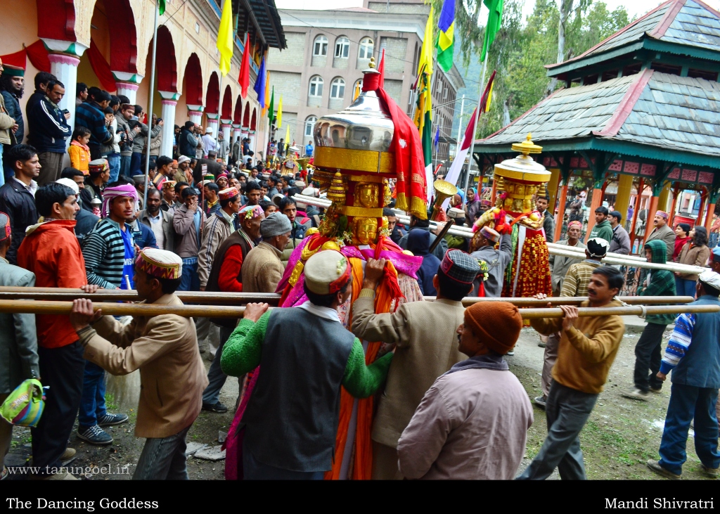 International Shivratri Festival