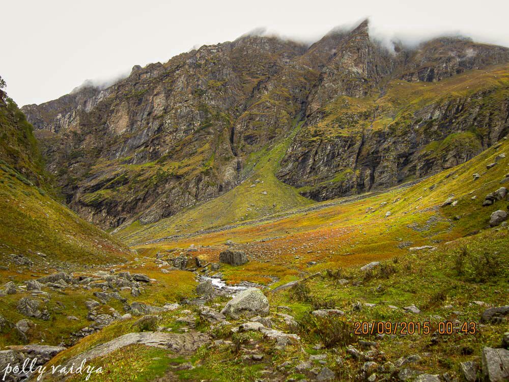 Jowara Meadow Hampta Pass