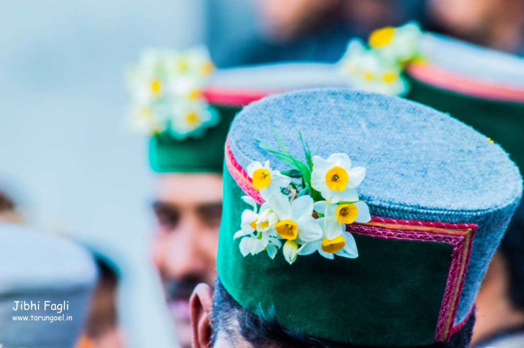 Pahadi Caps Adorned with Nargis Flowers, Jibhi Fagli